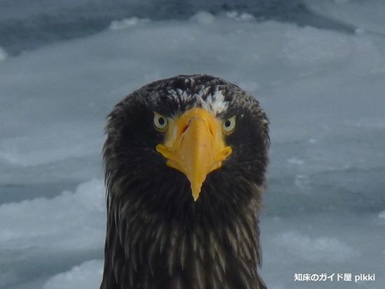 1969270_663248420407712_472058056_n