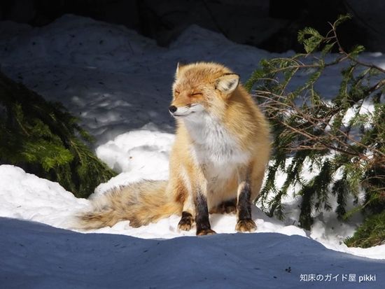 10393691_849111131821439_3613362365062615869_n