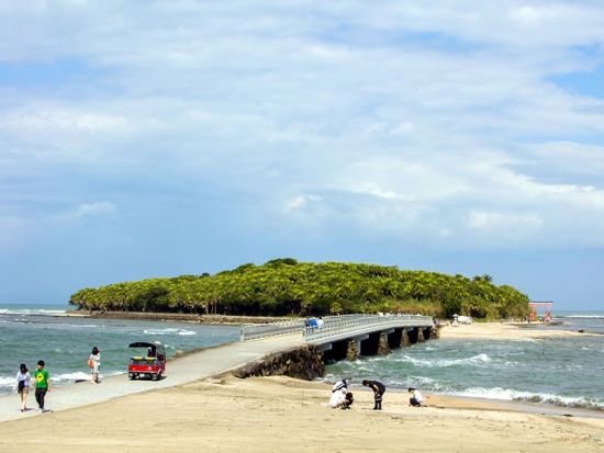 宮崎市内発着貸切観光タクシー　海沿いを走る日南海岸コース　青島＋堀切峠＋宮崎神宮＋平和台をめぐる＜約3.5時間＞ by 宮交タクシー株式会社