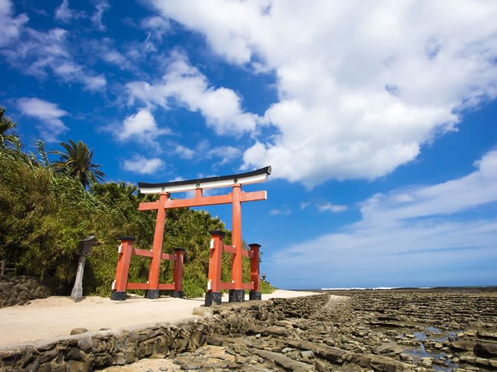 宮崎市内発着貸切観光タクシー 海沿いを走る日南海岸コース 青島＋堀切峠＋宮崎神宮＋平和台をめぐる＜約3.5時間＞ by 宮交タクシー株式会社 | 宮崎の 観光&遊び・体験・レジャー専門予約サイト VELTRA(ベルトラ)