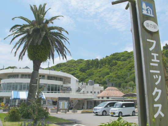 宮崎市内発着貸切観光タクシー　日南＆都井岬コース　青島＋堀切峠＋鵜戸神宮＋道の駅なんごう＋都井岬 ＜約8時間＞by 宮交タクシー株式会社