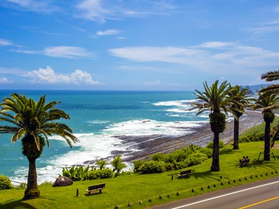 宮崎市内発着貸切観光タクシー 南国感あふれる青島・日南海岸と南九州の小京都・城下町 飫肥をめぐる ＜約6.5時間／宮崎市内発着＞by宮交タクシー株式会社