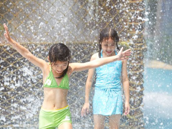 シンガポールの巨大プール施設 アドベンチャー・コーブ・ウォーターパーク 1日パス＜ホテルお迎え付き＞