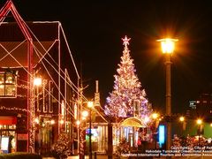 xmass fantasy (1)