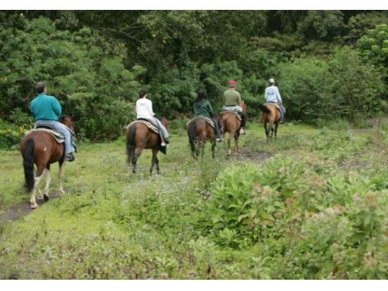 ハワイ島　乗馬ツアー　知られざる秘境ハマクア・コーストの山から海へと続く絶景トレイルコース ＜午前・午後／英語ガイド＞by ワイピオ・オン・ホースバック