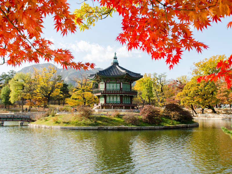 Hyangwonjeong Pavilion Gyeongbokgung autumn leaves