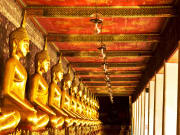 Line of Golden Buddhas facing the temple courtyard