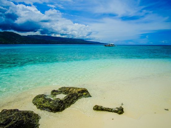 ジンベイザメ+スミロン島シュノーケリングツアー　ツマログの滝プラン選択可☆セブ市内の4時間貸切チャーターオプションあり！＜昼食／日本語ガイド／送迎＞