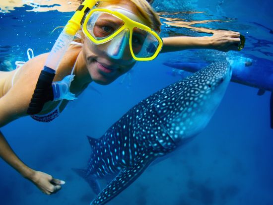 ジンベイザメ+スミロン島シュノーケリングツアー　ツマログの滝プラン選択可☆セブ市内の4時間貸切チャーターオプションあり！＜昼食／日本語ガイド／送迎＞