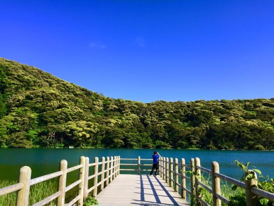 ネイチャーガイドツアー おまかせ半日コースで豊かな自然を満喫＜三宅島＞by 三宅島 Nature Tour mahana