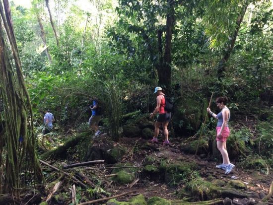 オアフ島　熱帯雨林ハイキング　初心者～中級者向け ＜英語ガイド＞