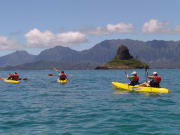 hawaii-kayak-4