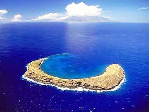 モロキニ島シュノーケリング ハワイ マウイ島 の観光 オプショナルツアー専門 Veltra ベルトラ
