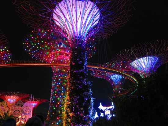 【貸切】シンガポール夜景ツアー　ガーデンズ・バイ・ザ・ベイの光のショー＋リバークルーズ＋「REDHOUSE」のチリクラブ夕食付き＜日本語ガイド／ホテル送迎付き＞