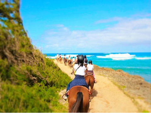 乗馬 アクティビティ ハワイの観光 オプショナルツアー専門 Veltra ベルトラ