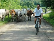Thailand chiang mai bike tour countryside paths