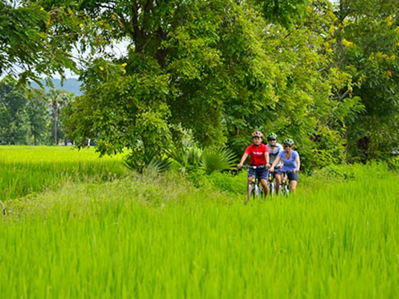 chiang mai bike and zipline tour countryside paths