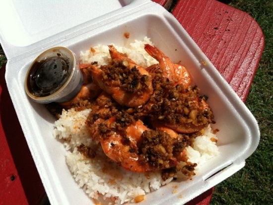 バン貸切チャーター　人気ガイドのグレン・大城さん確約！ハワイ在住30年以上のベテランガイドによるオーダーメイドツアー＜1～12名／6～12時間／日本語ガイド＞