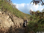 Hawaii_Oahu_Hans Hedemann Surf_Diamond Head Hike