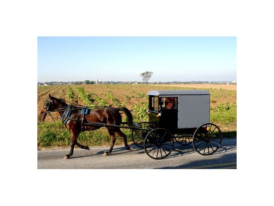 フィラデルフィア＆アーミッシュ村　日帰り観光ツアー ＜1名から催行／日本語アシスタント／環境保全への寄付＞