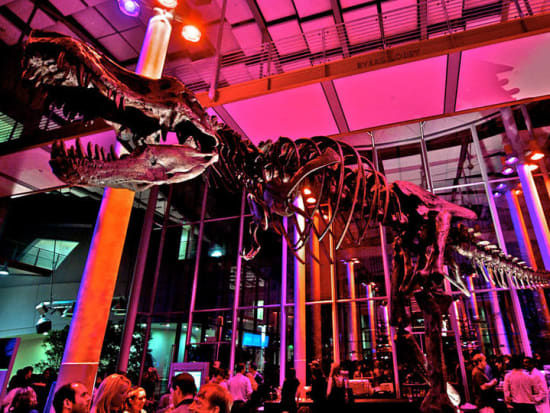 USA_California_Academy of Sciences_Dino Exhibit