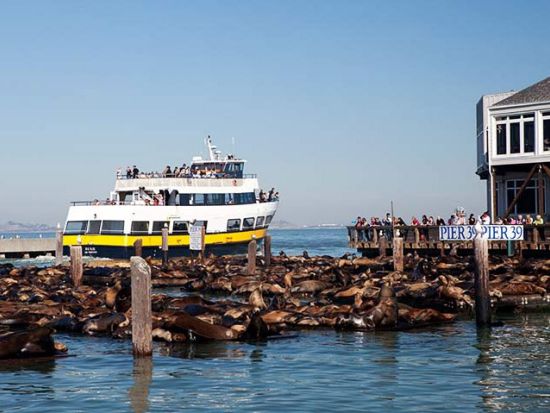 サンフランシスコ ⇔ サウサリート フェリーチケット ＜片道または往復＞