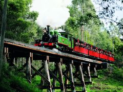 Puffing Billy Steam Train