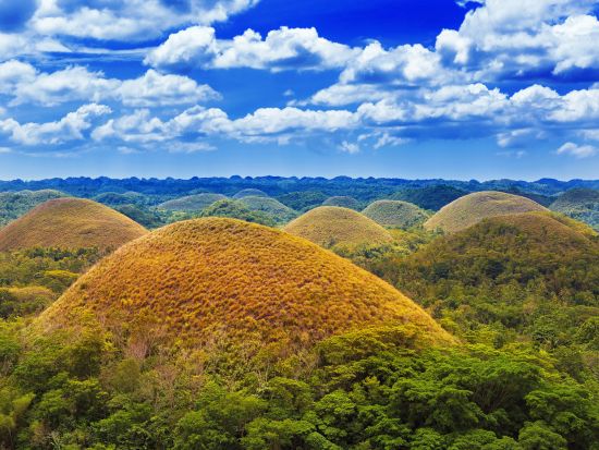 ボホール島1日観光ツアー メガネザル＋チョコレートヒルズ　ボホール島在住のベテランガイド確約！　ビジネスクラスプラン有＜日本語／リバークルーズランチ／セブ発＞
