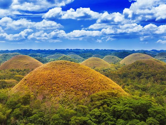 ボホール島日帰り観光ツアー メガネザル＆チョコレートヒルズ見学＜貸切／英語ガイド／昼食付き／セブ発＞