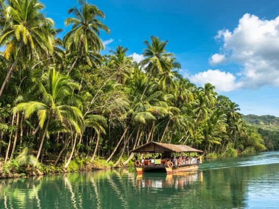 ボホール島日帰り観光ツアー メガネザル＆チョコレートヒルズ見学＜貸切／英語ガイド／昼食付き／セブ発＞