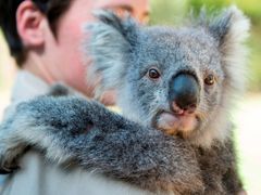 Healesville Sanctuary