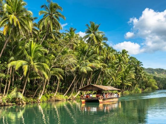 ボホール島日帰り観光ツアー メガネザル＆チョコレートヒルズ ジップバイク／バギー体験可！＜現地日本語可日本語ガイド／ビュッフェ昼食付き／ボホール島発＞
