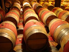 USA_San Francisco_Extranomical Tours