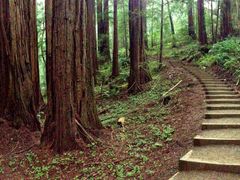 USA_San Francisco_Extranomical Tours_jasontoff