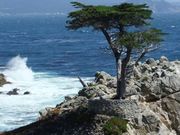 USA_San Francisco_Extranomical Tours