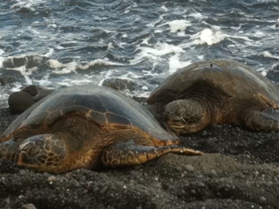 ハワイ島1泊2日ツアー　島内観光＋マウナケアサンセット星空ツアー＜貸切／コナ泊／往復航空券付き／日本語ガイド＞
