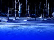 雪の青い池ライトアップ