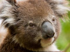 Wildlife_Encounters (5)