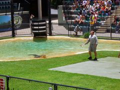 Australia Zoo Croc Express