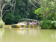 army duck ride kuranda rainforest