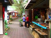 kuranda village shops