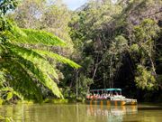 army duck ride kuranda rainforest