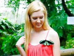 australian butterfly sanctuary woman and butterfly