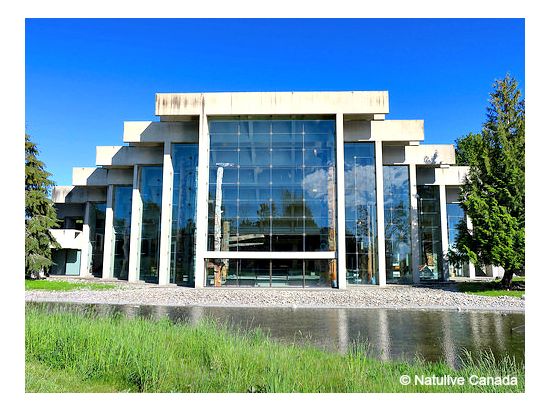 ブリティッシュ・コロンビア大学 観光ツアー　UBC人類学博物館＆UBCブックストア ＜日本語ガイド＞