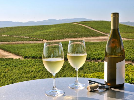 ナパバレー ワイナリーツアー　高級ワインの代名詞オーパス・ワン＆ジャービス・エステート＆厳選ワイナリー ＜日本語ガイド／ワイナリー3軒＞