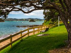 Bay of Islands Paihia to Auckland Half-Day Tour
