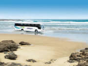 Auckland to Bay of Islands Russel Mini Tour Coach