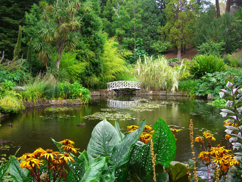Royal Tasmania Botanic Gardens