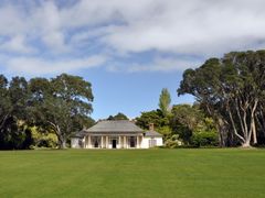 Bay of Islands Dolphin Cruise Waitangi