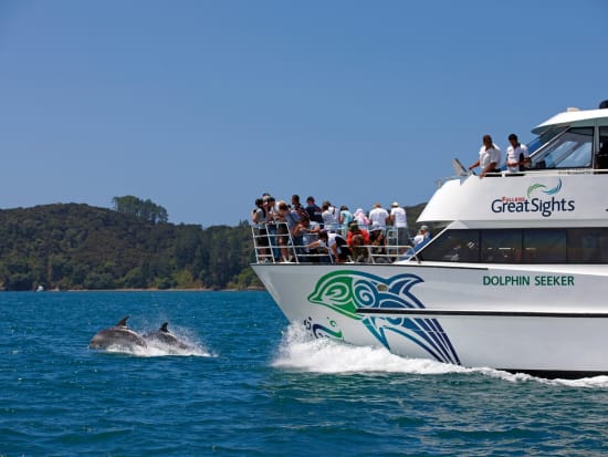 Bay of Islands Cruise Tour Dolphin Seeker